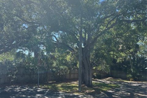 Copropriété à louer à Clearwater, Floride: 2 chambres, 100.98 m2 № 2165923 - photo 5
