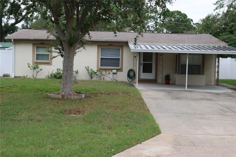 Villa ou maison à vendre à Tampa, Floride: 2 chambres, 87.7 m2 № 1898661 - photo 1