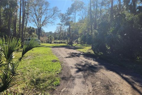 Land in Bunnell, Florida № 2115948