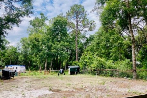 Land in Seville, Florida № 1789128 - photo 1