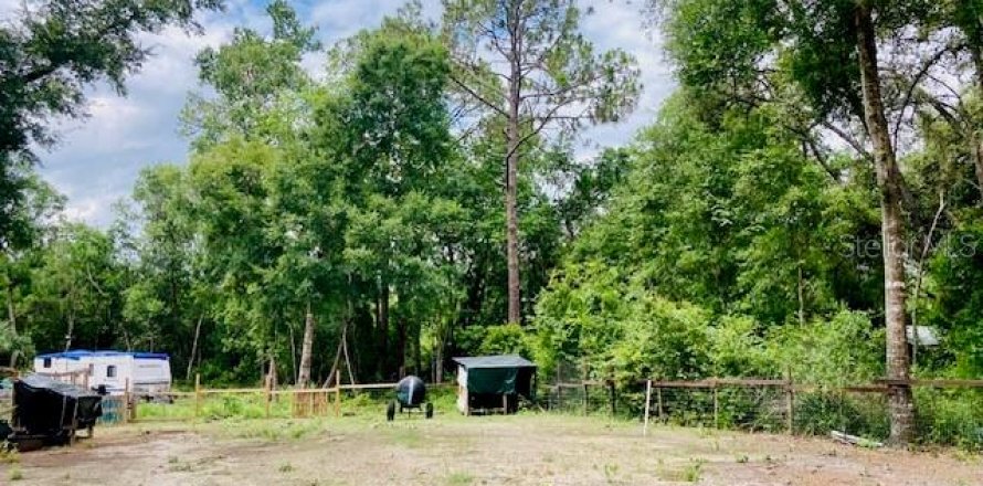 Land in Seville, Florida № 1789128