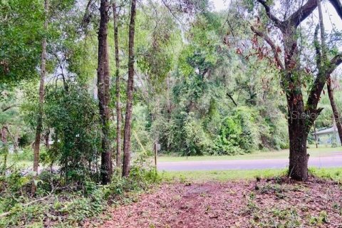 Land in Seville, Florida № 1789128 - photo 3
