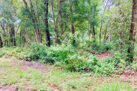 Land in Seville, Florida № 1789128 - photo 6