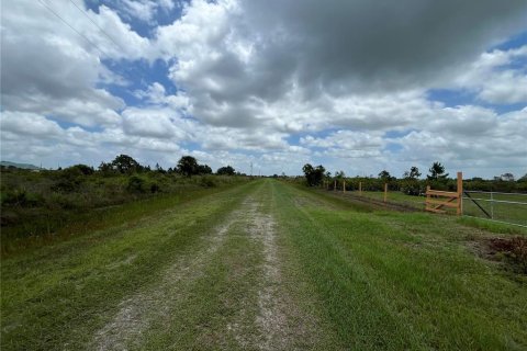 Land in Okeechobee, Florida № 1895150 - photo 3