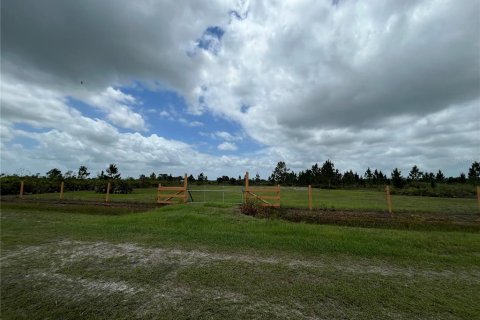 Land in Okeechobee, Florida № 1895150 - photo 2