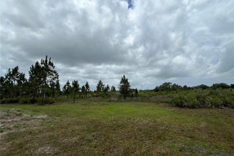 Land in Okeechobee, Florida № 1895150 - photo 8