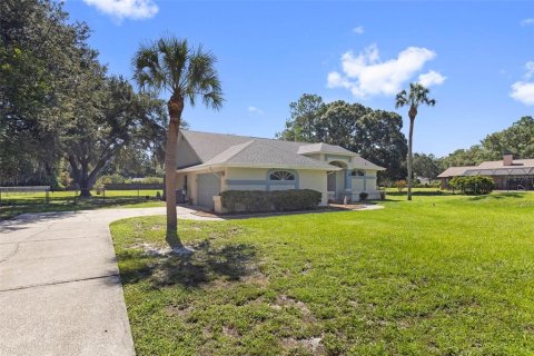 House in Lutz, Florida 3 bedrooms, 166.67 sq.m. № 2299610 - photo 3