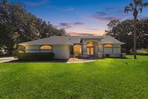 House in Lutz, Florida 3 bedrooms, 166.67 sq.m. № 2299610