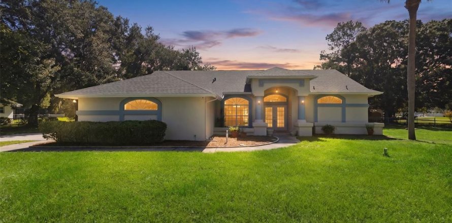 House in Lutz, Florida 3 bedrooms, 166.67 sq.m. № 2299610