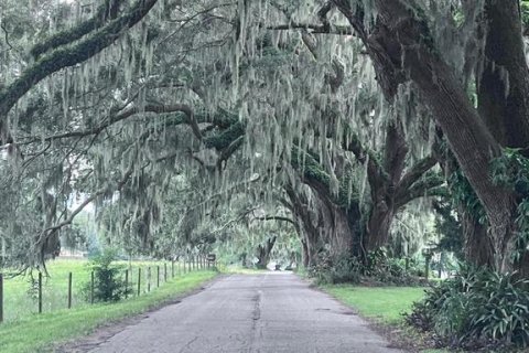 Casa en alquiler en Oxford, Florida, 3 dormitorios, 208.47 m2 № 1900227 - foto 4