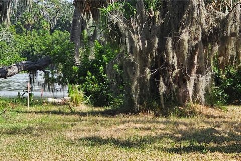 Terreno en venta en New Port Richey, Florida № 1873677 - foto 6