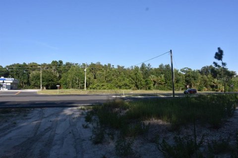 Terrain à vendre à Mount Dora, Floride № 2418935 - photo 28