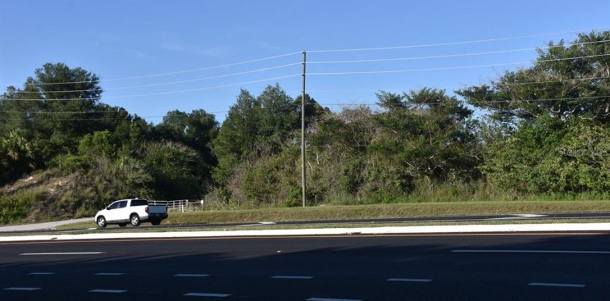 Terrain à Mount Dora, Floride № 2418935