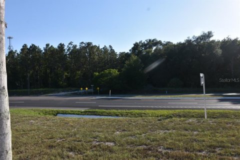 Terrain à vendre à Mount Dora, Floride № 2418935 - photo 6