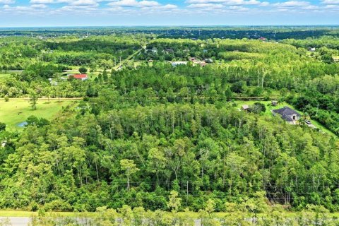 Terreno en venta en Orlando, Florida № 1847006 - foto 14