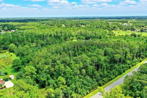 Terreno en venta en Orlando, Florida № 1847006 - foto 19