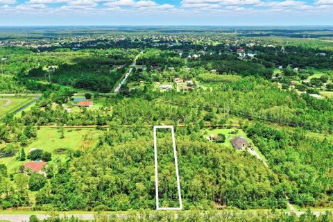 Terreno en venta en Orlando, Florida № 1847006 - foto 23