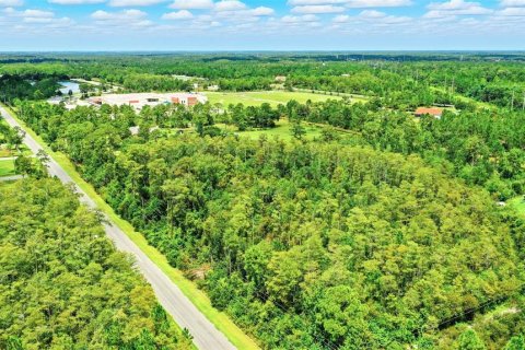 Terreno en venta en Orlando, Florida № 1847006 - foto 17
