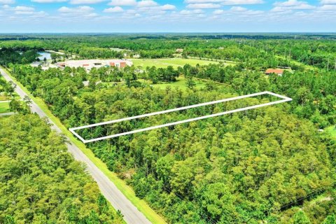 Terreno en venta en Orlando, Florida № 1847006 - foto 3