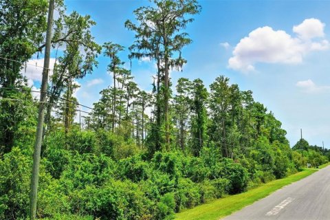 Terreno en venta en Orlando, Florida № 1847006 - foto 2