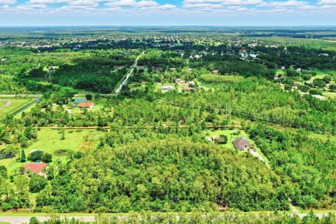 Terreno en venta en Orlando, Florida № 1847006 - foto 25