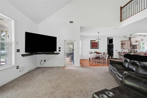 Villa ou maison à vendre à Brooksville, Floride: 6 chambres, 543.01 m2 № 2231105 - photo 16