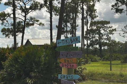 Land in Lake Wales, Florida № 1866561 - photo 5