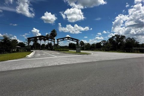 Land in Lake Wales, Florida № 1866561 - photo 4