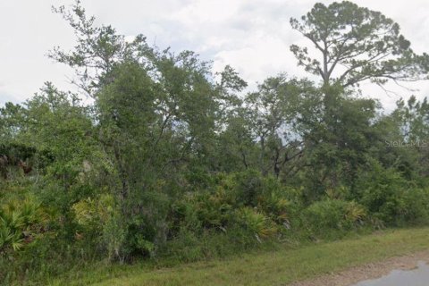 Land in Port Charlotte, Florida № 2162538 - photo 2