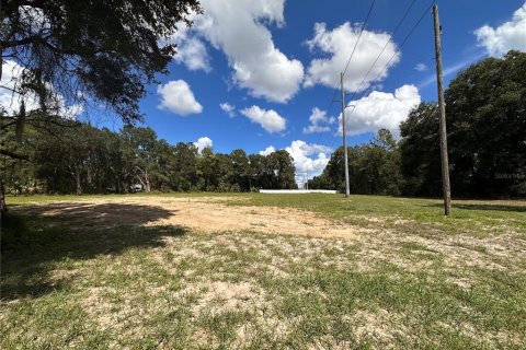 Terrain à Ocala, Floride № 2380645