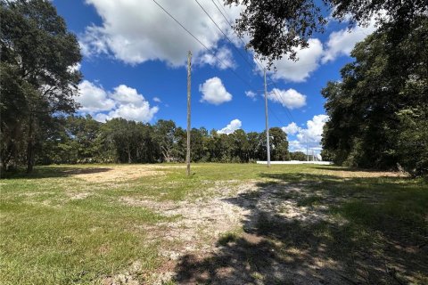 Terreno en alquiler en Ocala, Florida № 2380645 - foto 7