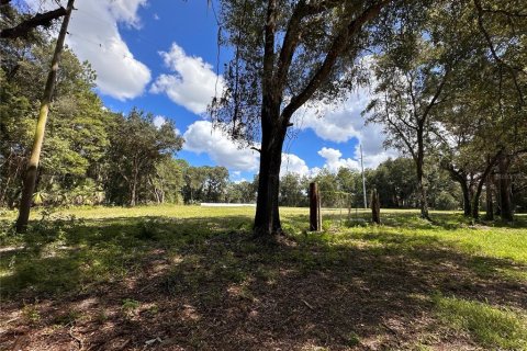 Terreno en alquiler en Ocala, Florida № 2380645 - foto 3