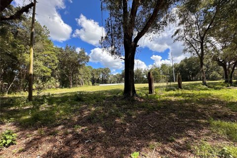 Terreno en alquiler en Ocala, Florida № 2380645 - foto 4