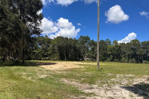 Terreno en alquiler en Ocala, Florida № 2380645 - foto 6