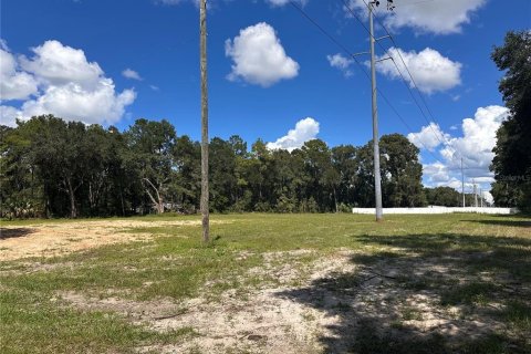 Terreno en alquiler en Ocala, Florida № 2380645 - foto 5