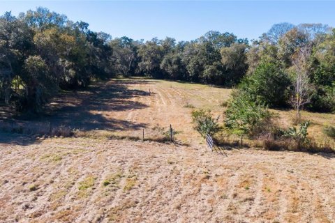 Land in Dover, Florida № 231996 - photo 11