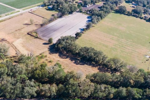 Land in Dover, Florida № 231996 - photo 16