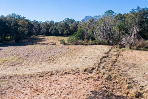 Land in Dover, Florida № 231996 - photo 10