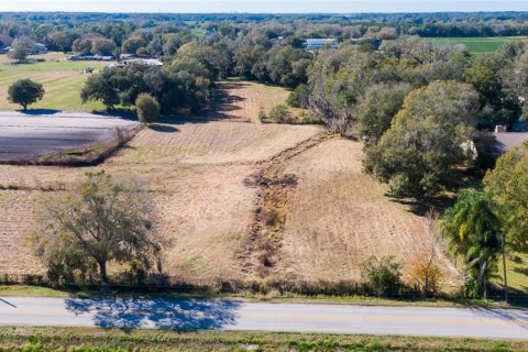 Land in Dover, Florida № 231996 - photo 8