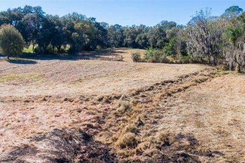 Land in Dover, Florida № 231996 - photo 14