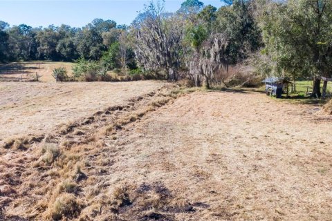 Land in Dover, Florida № 231996 - photo 12