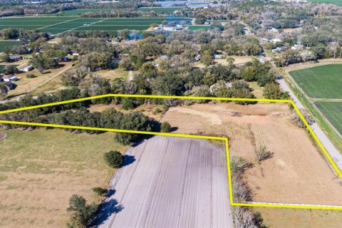 Land in Dover, Florida № 231996 - photo 3