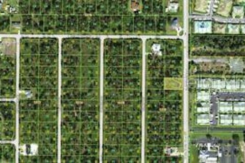 Land in Port Charlotte, Florida № 2371136 - photo 2