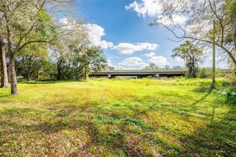 Land in Tampa, Florida № 988544 - photo 3