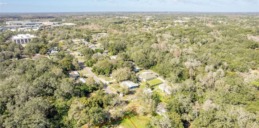 Land in Tampa, Florida № 988544
