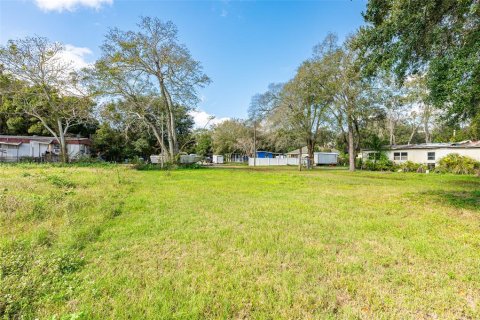 Land in Tampa, Florida № 988544 - photo 5