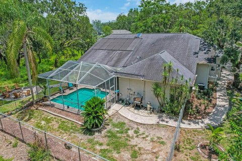 House in New Port Richey, Florida 4 bedrooms, 229.38 sq.m. № 1802001 - photo 8