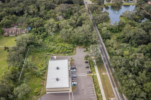 Land in Dover, Florida № 761944 - photo 4