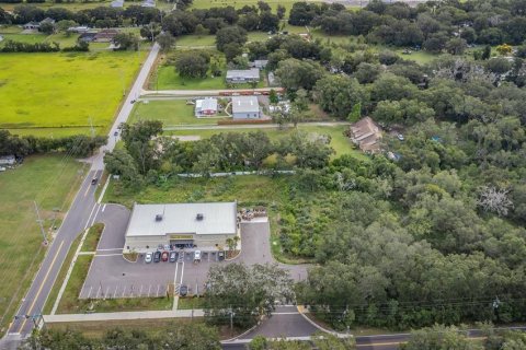 Land in Dover, Florida № 761944 - photo 19