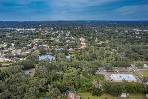 Land in Dover, Florida № 761944 - photo 11